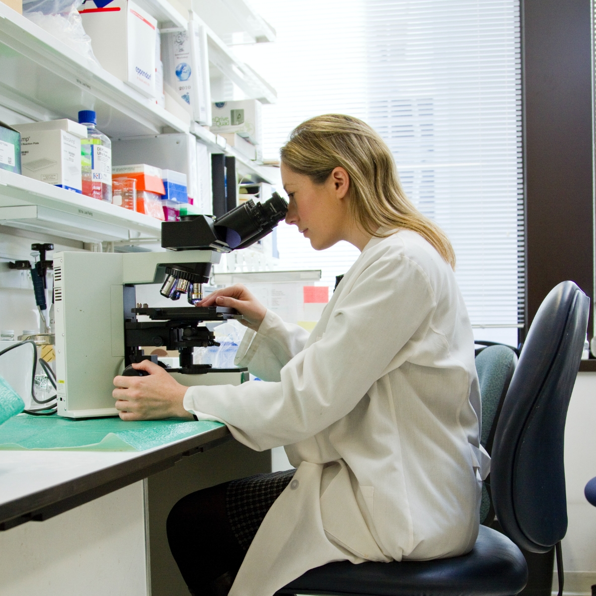 Doctor using a microscope