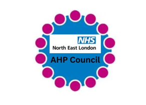 AHP COUNCIL 