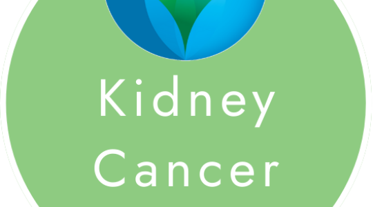 A logo which says Kidney Cancer UK.